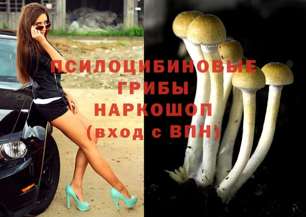 альфа пвп Краснослободск