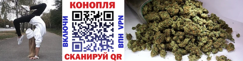 kraken   где найти   Дегтярск  Бошки марихуана THC 21% 